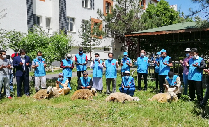 1003 noktada 1003 şükür kurbanı kesildi