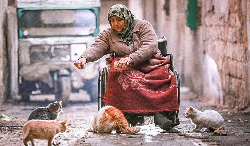 Tekerlekli sandalyesiyle hem engelli oğluna hem de 10 kediye bakıyor