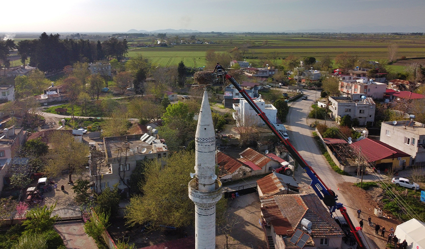 Osmaniye’de ağır hasar alan minaredeki leylek yuvası camii kubbesine taşındı