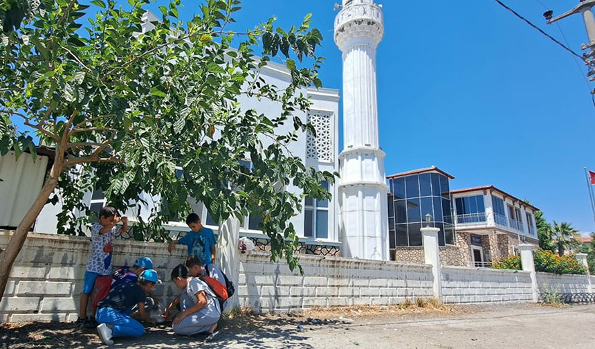 Kur’an kursu öğrencilerinden “Sokak Hayvanları İçin Farkındalık” etkinliği