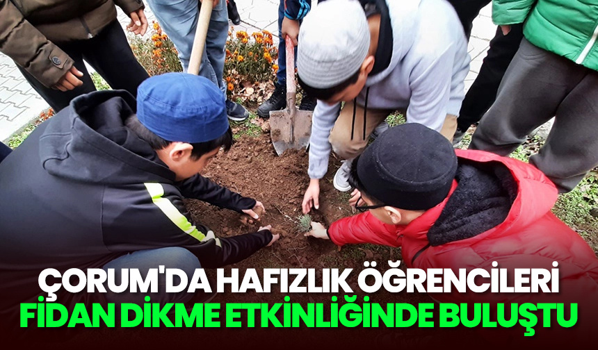 Çorum’da hafızlık öğrencileri fidan dikme etkinliğinde buluştu