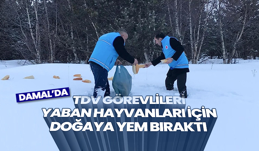 Damal’da TDV görevlileri yabani hayvanlar için doğaya yem bıraktı