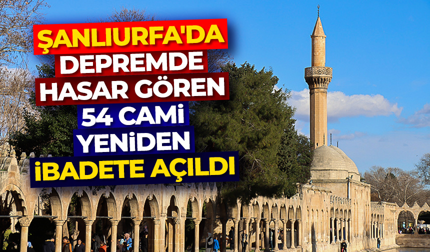 Depremde hasar gören 54 cami yeniden ibadete açıldı