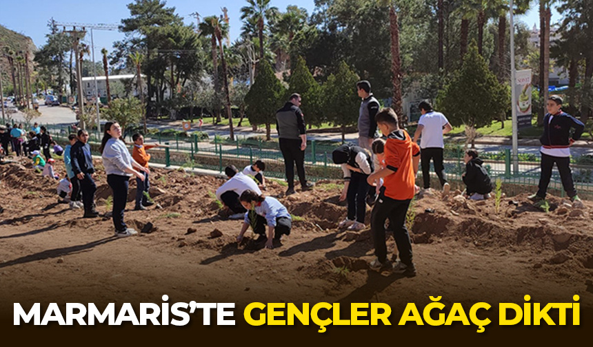 Marmaris’te gençler ağaç dikti – Diyanet Haber