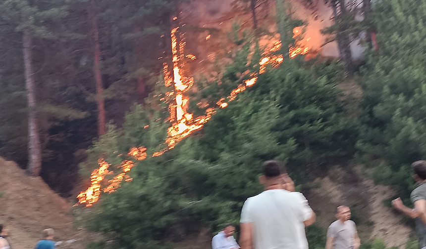TDV Denizli Arama Kurtarma Ekibinden yangına müdahale